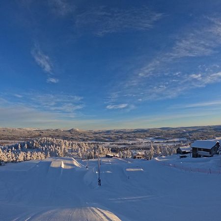 Toppvillan - Ski In - Ski Out - 200 M Till Toppen Och Cykelleder Йервсё Экстерьер фото